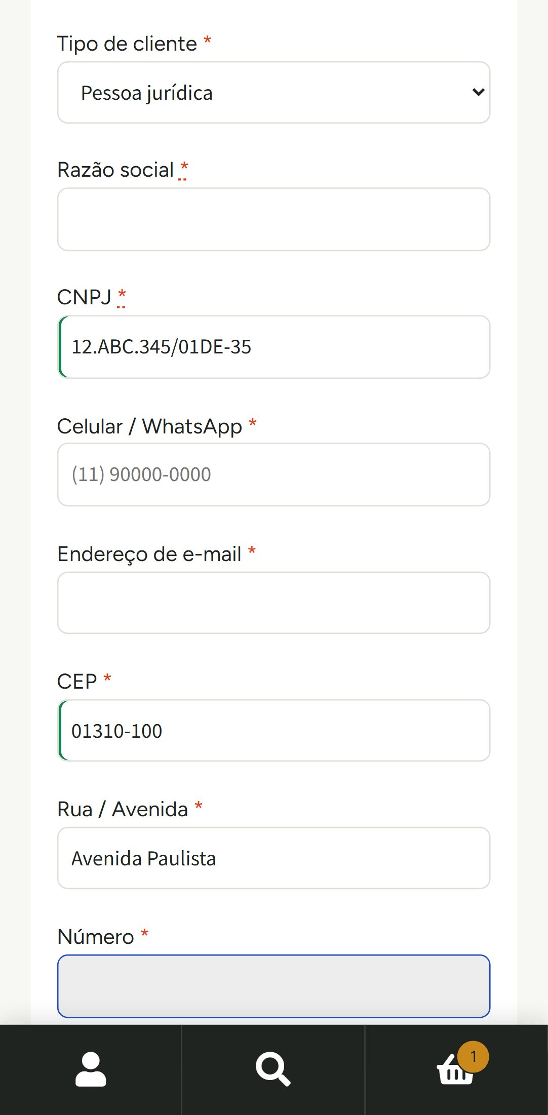 Checkout de pessoa jurídica com CNPJ alfanumérico no celular